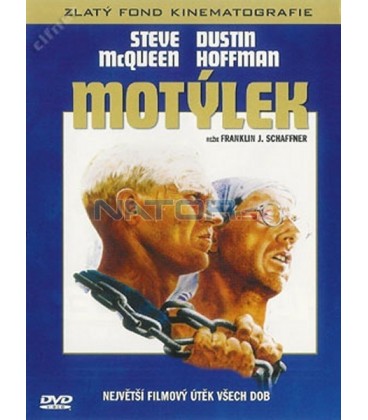 Motylek-2.jpg