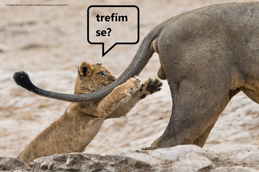 jestli-se-trefi.jpg