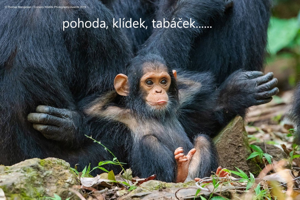 pohoda-klidek-tabacek.jpg