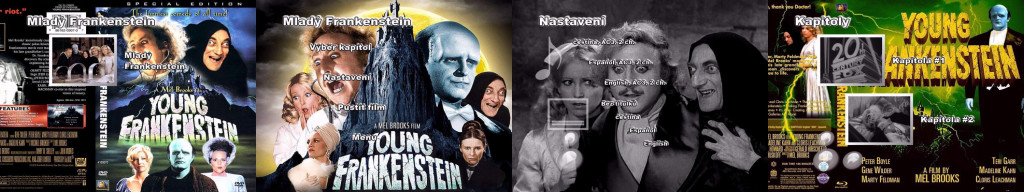 Mlady-Frankenstein-Screen-1.jpg