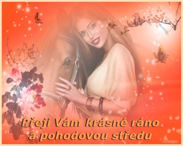 PŘEJI VÁM KRÁSNÉ RÁNO A POHODOVOU STŘEDU