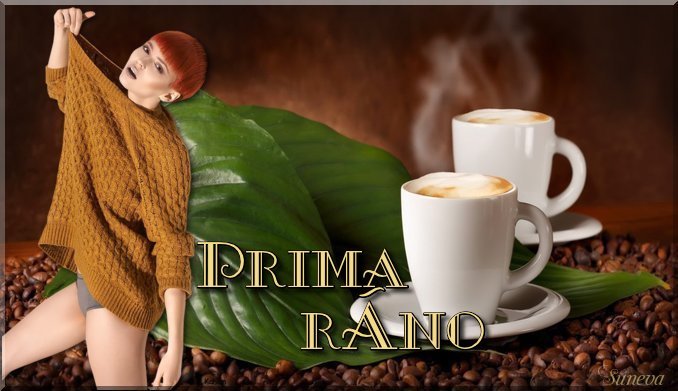PRIMA RÁNO