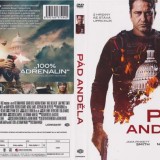 Pad-andela-1