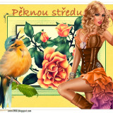 PEKNOU-STREDU