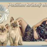 POSILAM-KRASNY-DEN