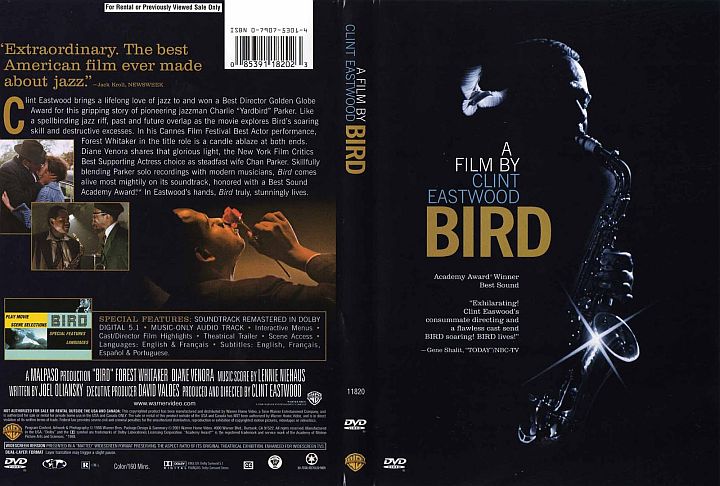 Bird-1.jpg