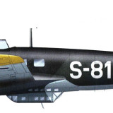 S-81A