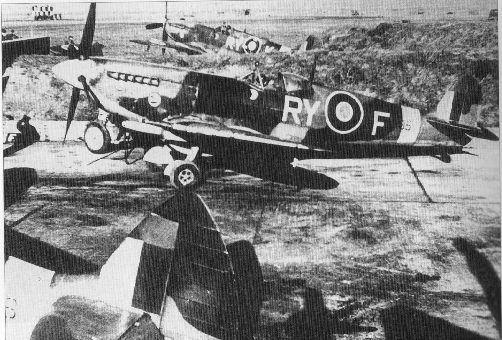 RY-F_03.jpg