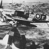 RY-F_03