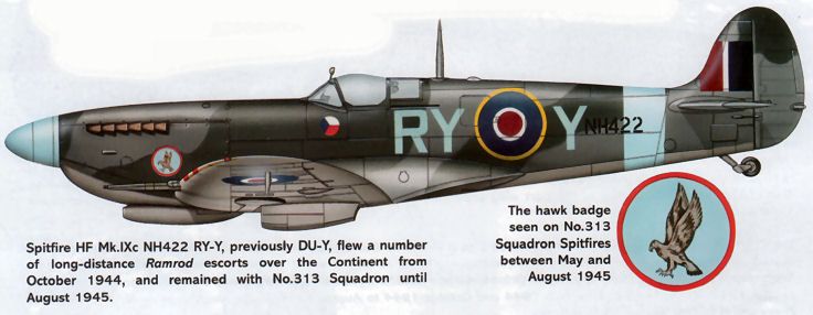 RY-Y_03.jpg