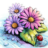 pic_YWs2TiR7sW