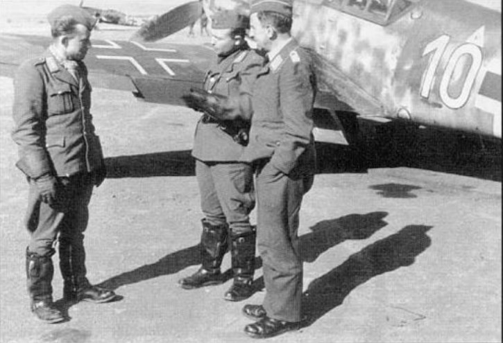 zlta-10-2.jpg