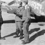 zlta-10-2