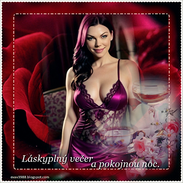 LASKYPLNY-VECER-A-POKOJNOU-NOC.jpg
