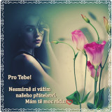 PRO-TEBE