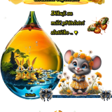 oie_cG2gEP8aewRs