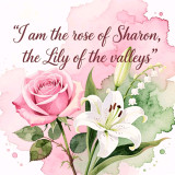 image_2025_12_28_114247