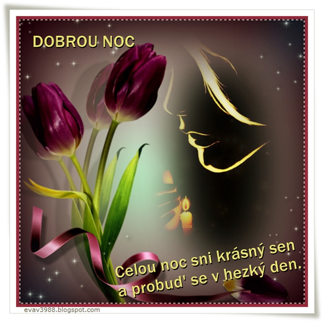 DOBROU-NOC48d6966781a395d3.jpg