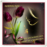 DOBROU-NOC48d6966781a395d3