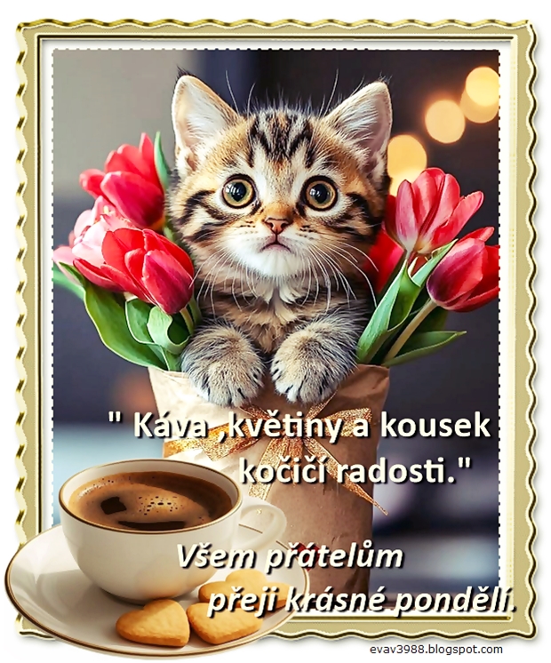 VSEM-PRATELUM-PREJI-KRASNE-PONDELI.jpg